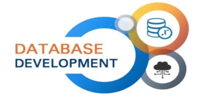 database development 